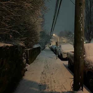 flood