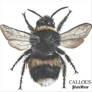 Callous