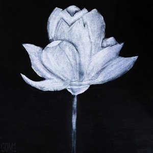 G0M1 的头像