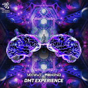 DMT Experience