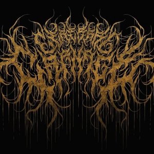 Cerebral Carnage 的头像