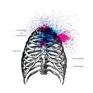 70 cm³ of Your Chest