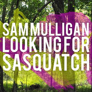 Looking for Sasquatch