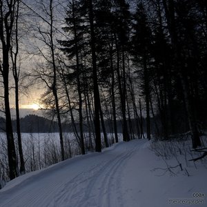 The Ice Garden