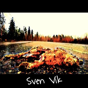 Sven Vik 的头像