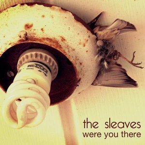 The Sleaves 的头像