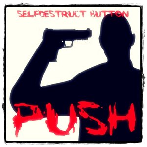Self-Destruct Button 的头像