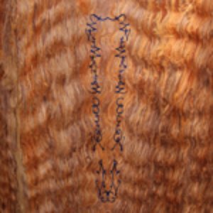 Enter The Cotton Ring