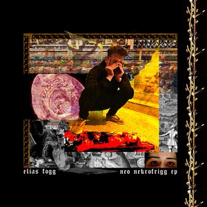 Neo Nekrofrigg - Single