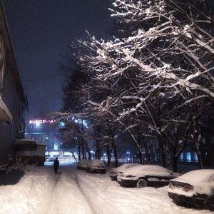 vs94ski 的头像