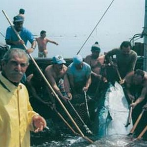 “Ciurma della Tonnara di Favignana”的封面