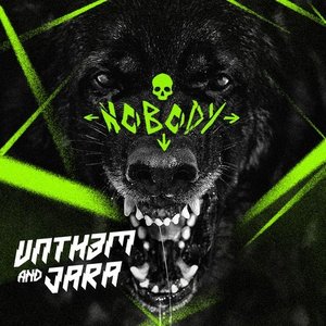 VNTH3M 的头像
