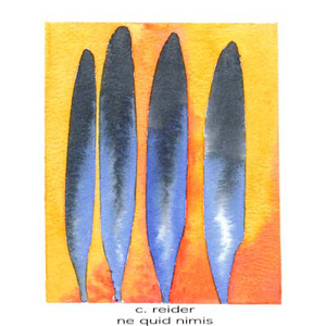 Luster photo provided by Last.fm