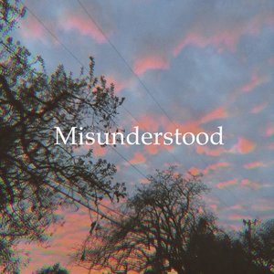 Misunderstood