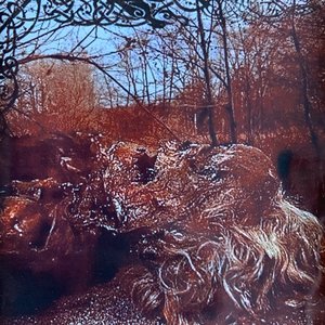 Onder De Banier Van Het Gewei