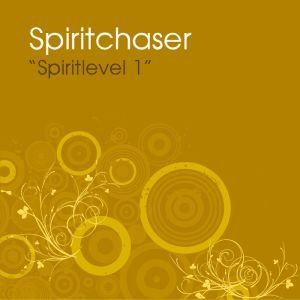 Spiritlevel 1