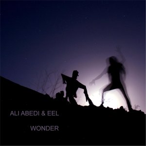 Ali Abedi 的头像