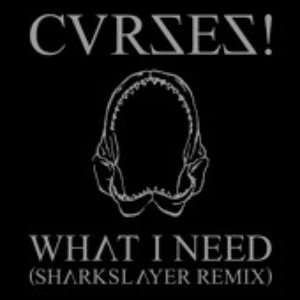 What I Need (Sharkslayer Remix)