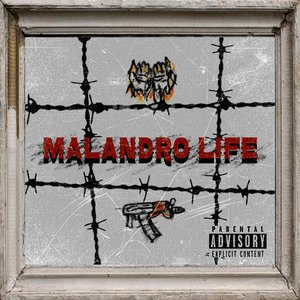 Malandro Life