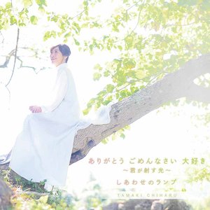 ありがとう  ごめんなさい  大好き  ~君が射す光~ - Single
