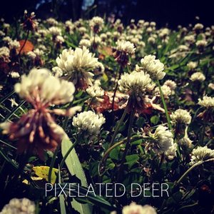 Pixelated Deer EP