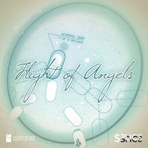 Flight of Angels