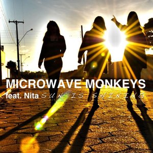 Avatar for Microwave Monkeys