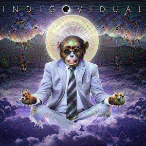 Indigovidual