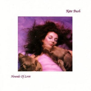 “The Hounds of Love (+6 Bonus Track)”的封面