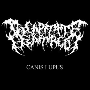 Canis Lupus