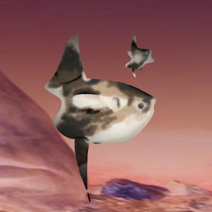 sunfish