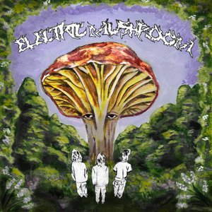 Electric Mushroom