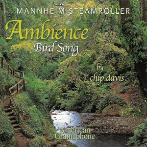 Ambience: Bird Song