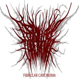 Image for 'FIBRILLAR CARCINOMA'