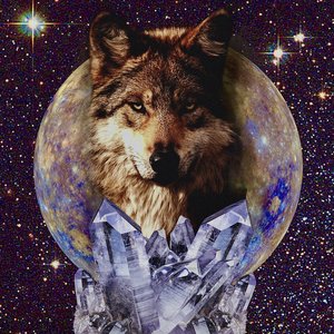 Avatar for WØLFY