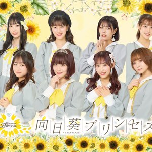 Avatar for Himawari Princess