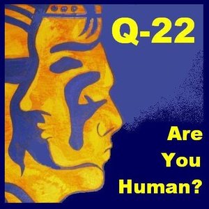 Q-22 的头像