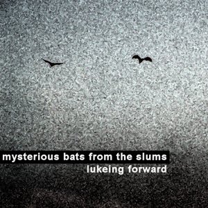 Mysterious Bats From The Slums