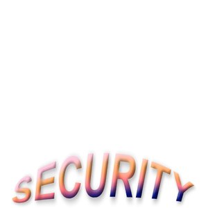 SECURITY