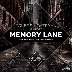 Memory Lane (feat. Vice)