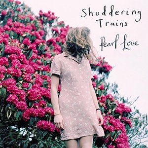Shuddering Trains