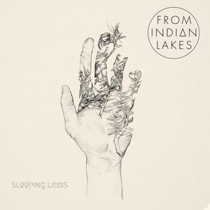 Sleeping Limbs - Single