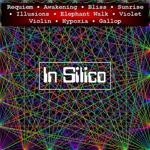 In Silico