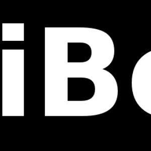 “erriBera”的封面