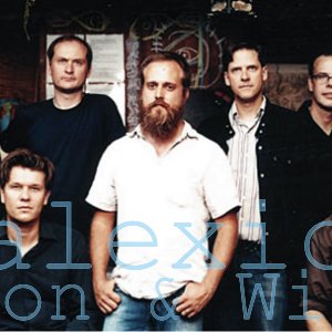 Bild för 'iron and wine/calexico'