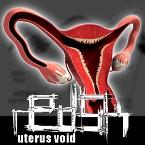 Uterus Void