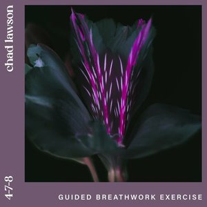 4-7-8 (guided breathwork exercise)