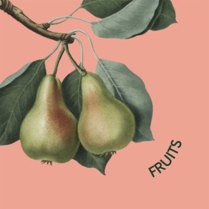 Fruits