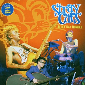 STRAY CATS - Rumble in Brighton - live Lyrics - Zortam Music