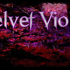 Avatar for Velvet Violet